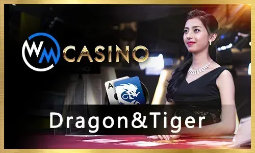 Comprehensive Solutions